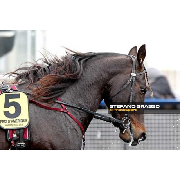 a close up for Giuseppe Bi warming up at Vincennes Paris-Vincennenes, 25th january 2009 ph. Stefano Grasso