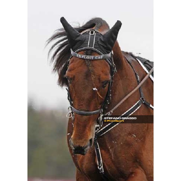 a close up for Exploit Caf Paris-Vincennenes, 25th january 2009 ph. Stefano Grasso