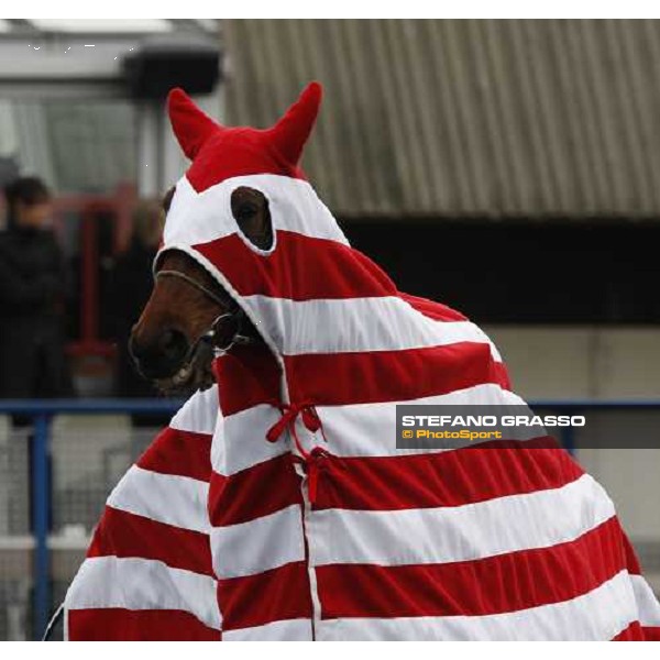Prix d\' Amerique Paris-Vincennenes, 25th january 2009 ph. Stefano Grasso