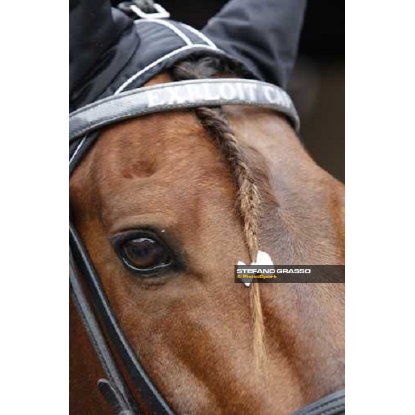 a very close up for Exploit Caf Paris-Vincennenes, 25th january 2009 ph. Stefano Grasso