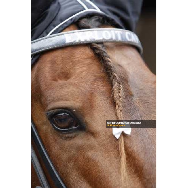 a very close up for Exploit Caf Paris-Vincennenes, 25th january 2009 ph. Stefano Grasso