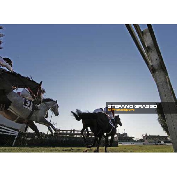 Josef Bartos on Paracchini jumps during the 59.a Gran Corsa Siepi di Roma, followed by Bruciapelo, Blanc de Blancs, Galandas, Terra Romana Roma, 15th february 2009 ph. Stefano Grasso