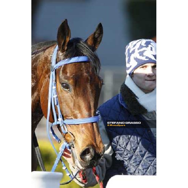 a close up for Paracchini winner of the 59.a Gran Corsa Siepi di Roma. Roma, 15th february 2009 ph. Stefano Grasso