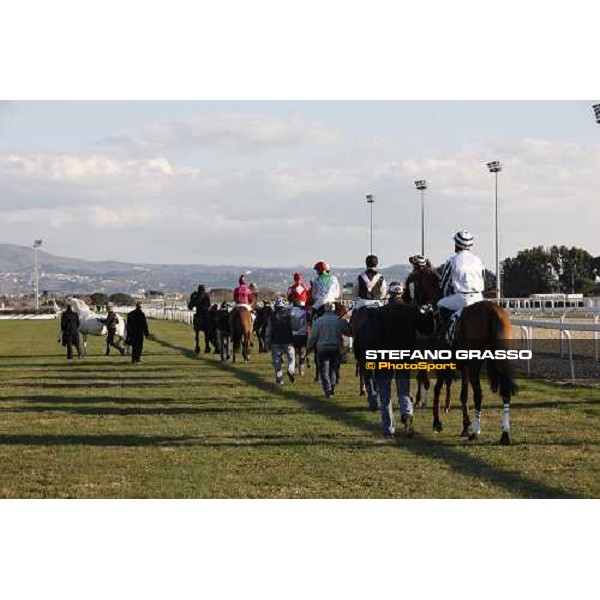the horses of the 59.a Gran Corsa Siepi di Roma parade before the race Rome, 15 february 2009 ph. Stefano Grasso