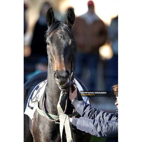 a close up for Magritte Rome, 15 february 2009 ph. Stefano Grasso