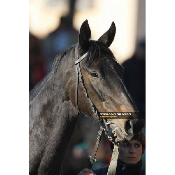 a close up for Magritte Roma, 15 febbraio 2009 ph. Stefano Grasso