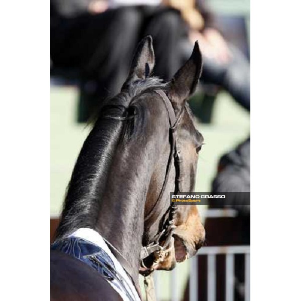 a close up for Magritte Rome, 15 february 2009 ph. Stefano Grasso