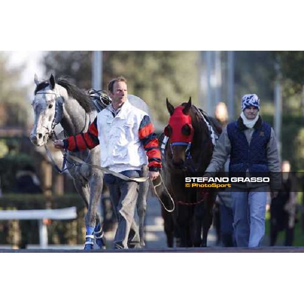 Galandas parades with his groom before the 59.a Gran Corsa Siepi and followed by Paracchini Rome, 15 february 2009 ph. Stefano Grasso