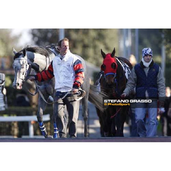 Galandas parades with his groom before the 59.a Gran Corsa Siepi and followed by Paracchini Rome, 15 february 2009 ph. Stefano Grasso