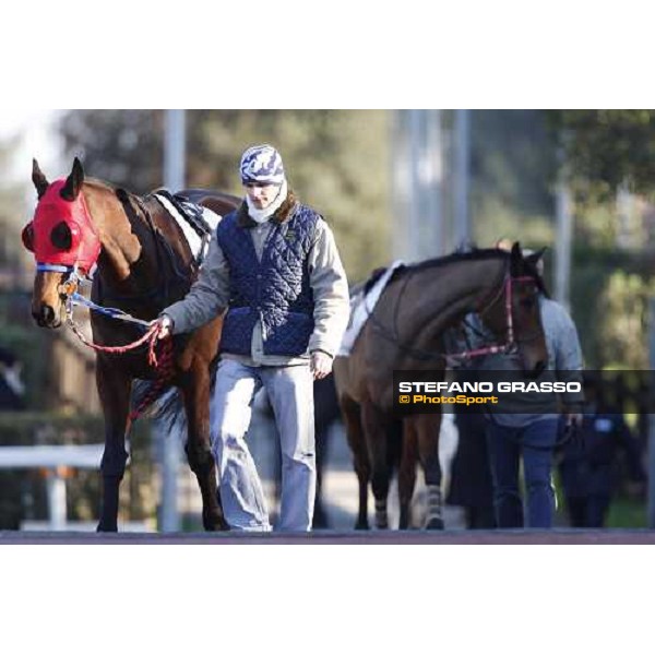 Paracchini parades with his groom before the 59.a Gran Corsa Siepi and followed by Terra Romana Rome, 15 february 2009 ph. Stefano Grasso