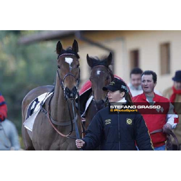 Blanc de Blancs parades with his groom before the 59.a Gran Corsa Siepi and followed by Bruciapelo Rome, 15 february 2009 ph. Stefano Grasso