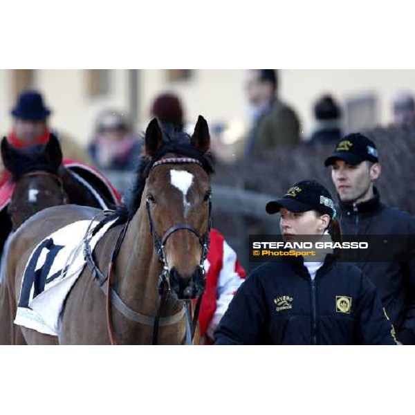 Blanc de Blancs parades with his groom before the 59.a Gran Corsa Siepi Rome, 15 february 2009 ph. Stefano Grasso