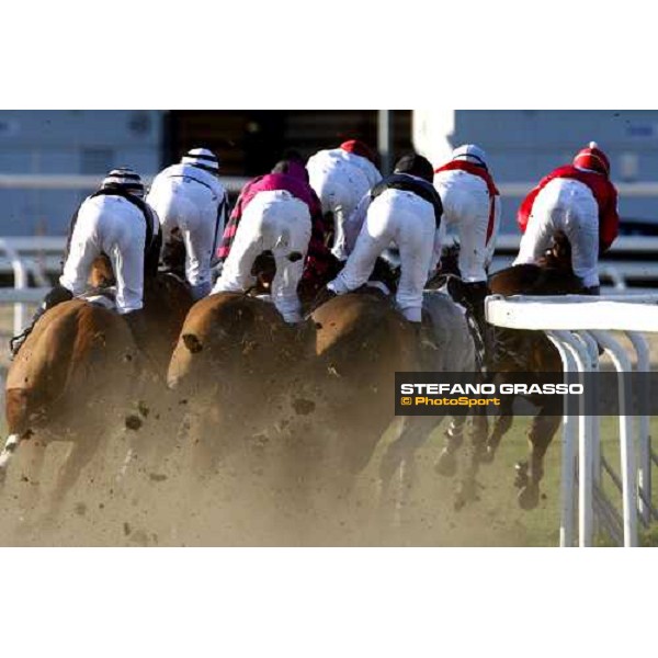 the horses of 59.a Gran Corsa Siepi di roma turn the bend. Bruciapelo and Paracchini lead followed by Blanc de Blancs, Galandas, Terra Romana, Valandraud and Wutzeline Rome, 15 february 2009 ph. Stefano Grasso