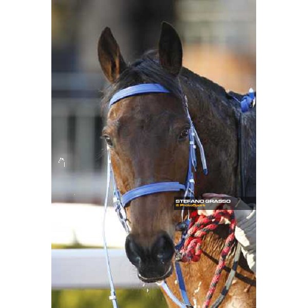 a close up for Paracchini after the race Rome, 15 february 2009 ph. Stefano Grasso