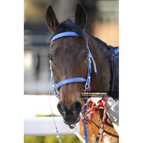 a close up for Paracchini after the race Rome, 15 february 2009 ph. Stefano Grasso