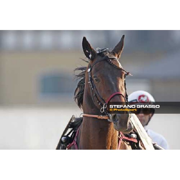a close up for Igor Font before winning the Gran Premio Encat - Memorial Fausto Branchini Milano, 21 february 2009 ph. Stefano Grasso