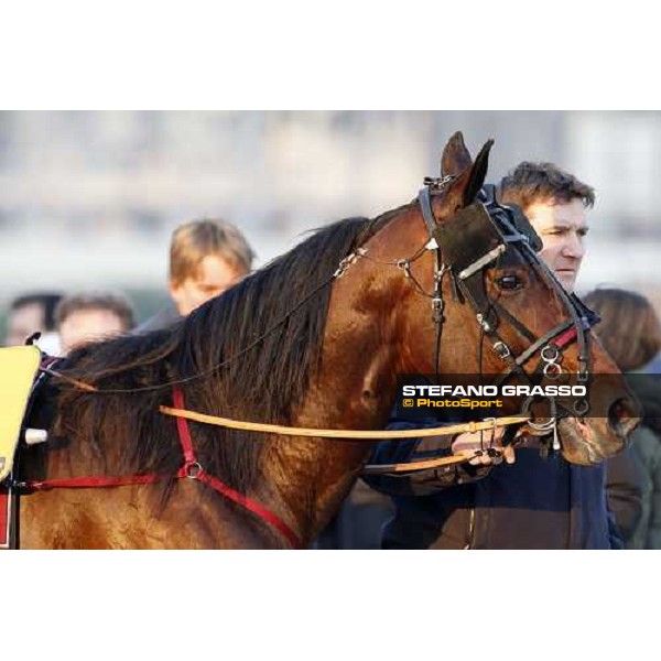 a close up for Igor Font winner of the Gran Premio Encat - Memorial Fausto Branchini Milano, 21 february 2009 ph. Stefano Grasso