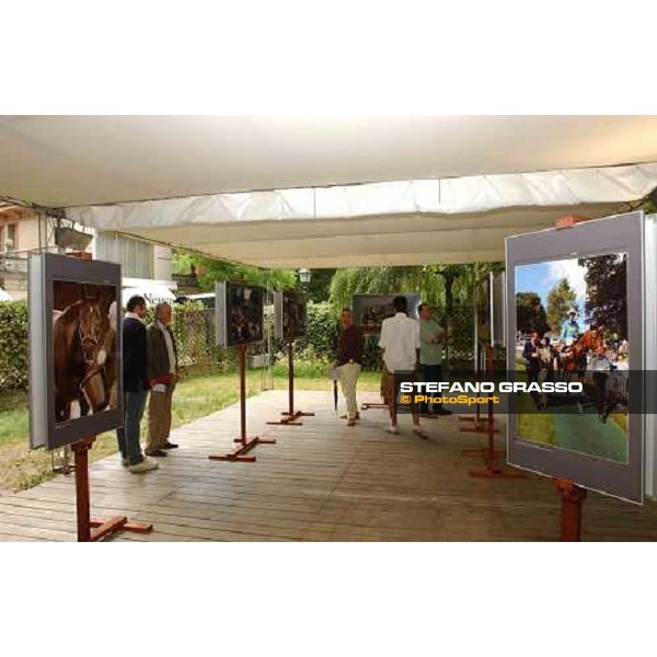 photographic exibition of Falbrav by Stefano Grasso Gran Premio di Milano Milan San Siro 20th june 2004 ph. Stefano Grasso