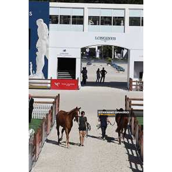 LGCT of Roma - Vet check - - Roma, Stadio dei Marmi - 5 September 2019 - ph.Stefano Grasso/LGCT