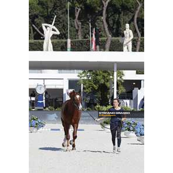 LGCT of Roma - Vet check - Take A Chance on me Z - Roma, Stadio dei Marmi - 5 September 2019 - ph.Stefano Grasso/LGCT