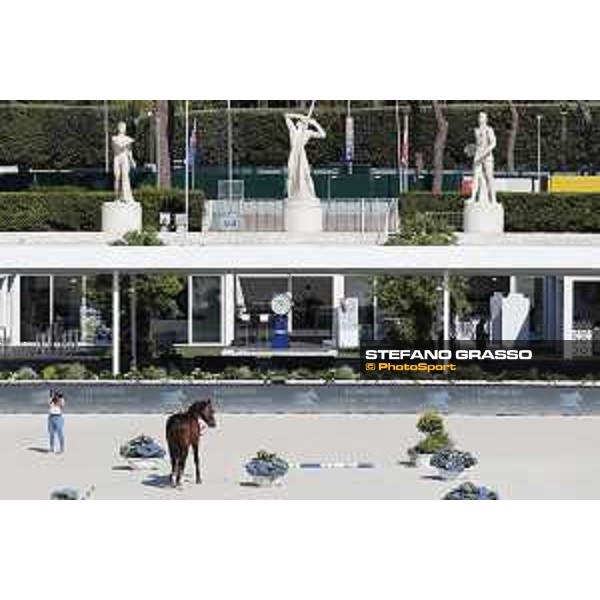 LGCT of Roma - Vet check - - Roma, Stadio dei Marmi - 5 September 2019 - ph.Stefano Grasso/LGCT