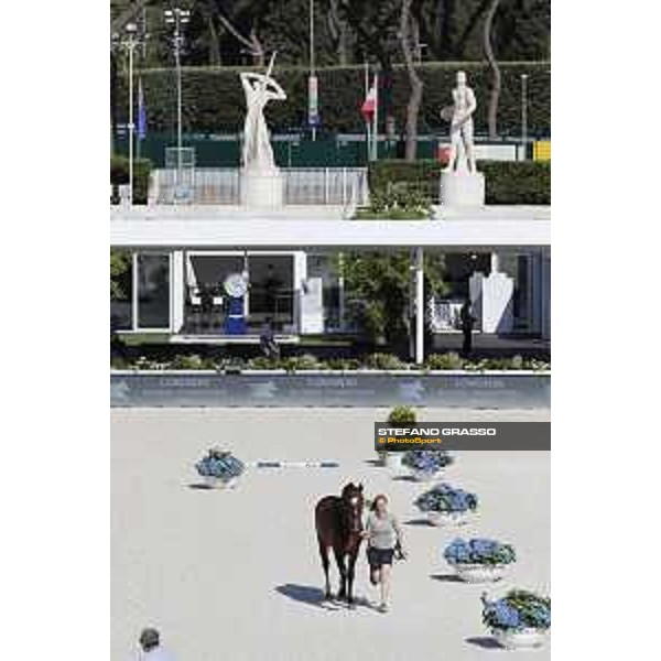 LGCT of Roma - Vet check - - Roma, Stadio dei Marmi - 5 September 2019 - ph.Stefano Grasso/LGCT