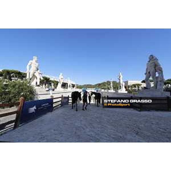 LGCT of Roma - Vet check - - Roma, Stadio dei Marmi - 5 September 2019 - ph.Stefano Grasso/LGCT