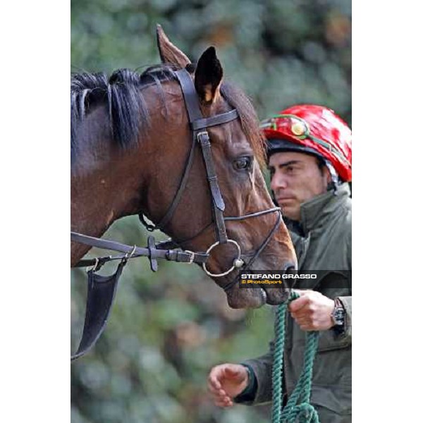 Endo Botti and Jakkalberry at Razza Latina Stud Pisa, 20th april 2009 ph. Stefano Grasso