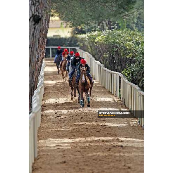 morning works at Razza Latina Stud Pisa, 20th april 2009 ph. Stefano Grasso