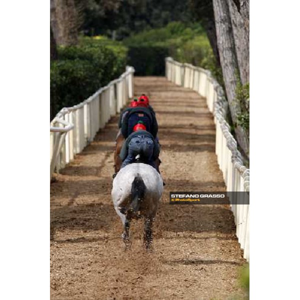 morning works at Razza Latina Stud Pisa, 20th april 2009 ph. Stefano Grasso