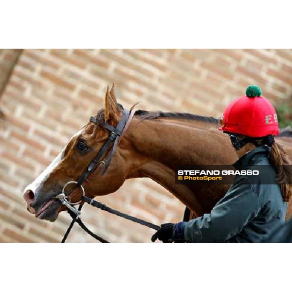 Cristiana Brivio Sforza at Razza Latina Stud Pisa, 20th april 2009 ph. Stefano Grasso