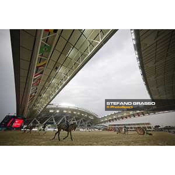 LGCT of Doha - A view of the arena - Doha, Al Shaqab - 27 February 2019 - ph.Stefano Grasso/LGCT