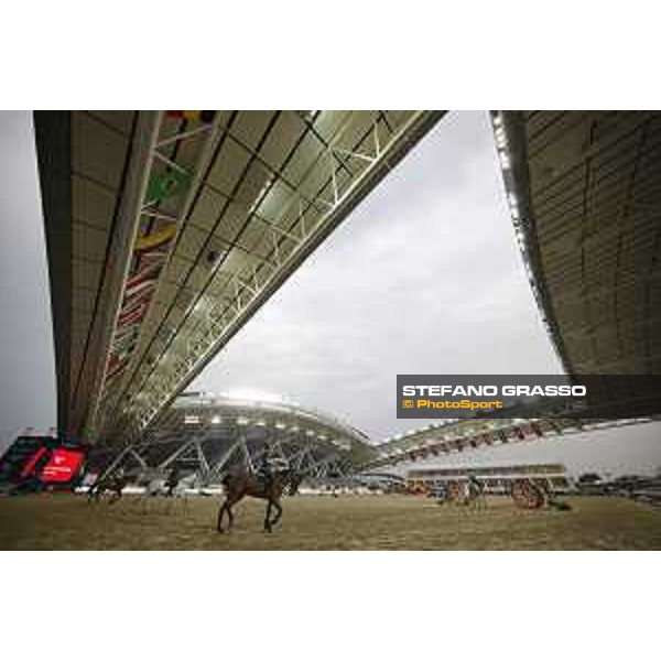LGCT of Doha - A view of the arena - Doha, Al Shaqab - 27 February 2019 - ph.Stefano Grasso/LGCT