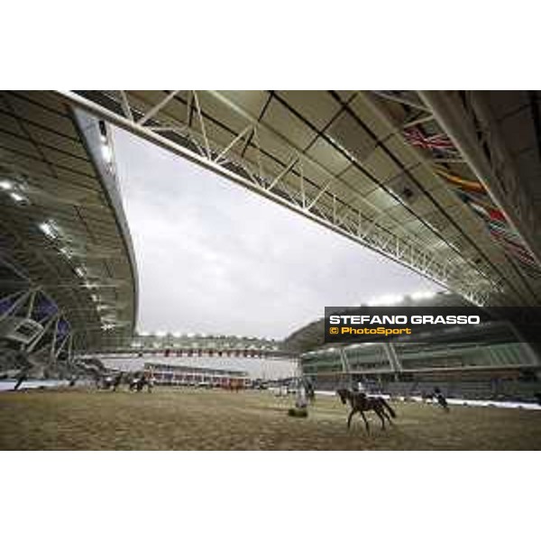 LGCT of Doha - A view of the arena - Doha, Al Shaqab - 27 February 2019 - ph.Stefano Grasso/LGCT