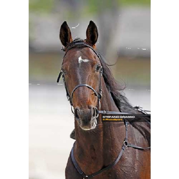 close up for Le Touquet warming up before the Gran Premio d\' Europa Milan, 25th april 2009 ph. Stefano Grasso