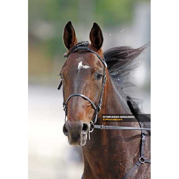 close up for Le Touquet warming up before the Gran Premio d\' Europa Milan, 25th april 2009 ph. Stefano Grasso