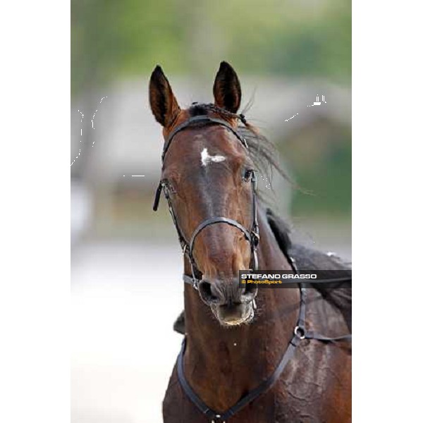 close up for Le Touquet warming up before the Gran Premio d\' Europa Milan, 25th april 2009 ph. Stefano Grasso