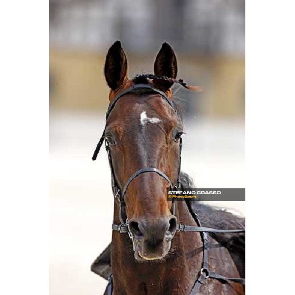 close up for Le Touquet warming up before the Gran Premio d\' Europa Milan, 25th april 2009 ph. Stefano Grasso