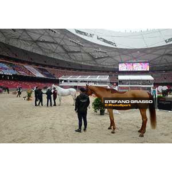 Vet inspection Beijing, Bird\'s Nest 11th October 2019 Ph.Stefano Grasso/LBM