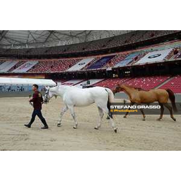 Vet inspection Beijing, Bird\'s Nest 11th October 2019 Ph.Stefano Grasso/LBM
