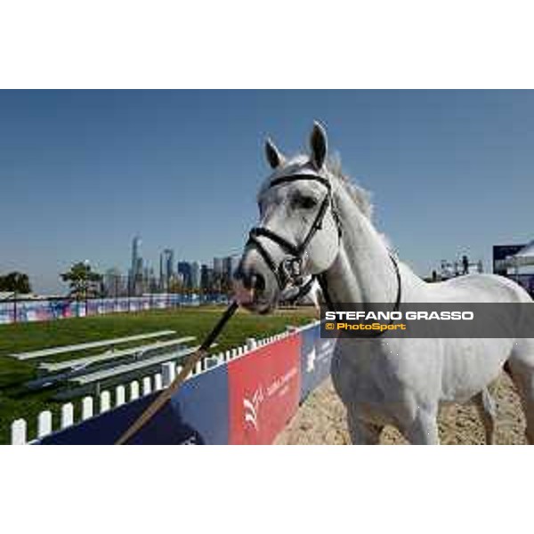 LGCT of NEW YORK - Vet inspection - Cornado NRW NEW YORK, Governors Island - 26 September 2019 - ph.Stefano Grasso/LGCT
