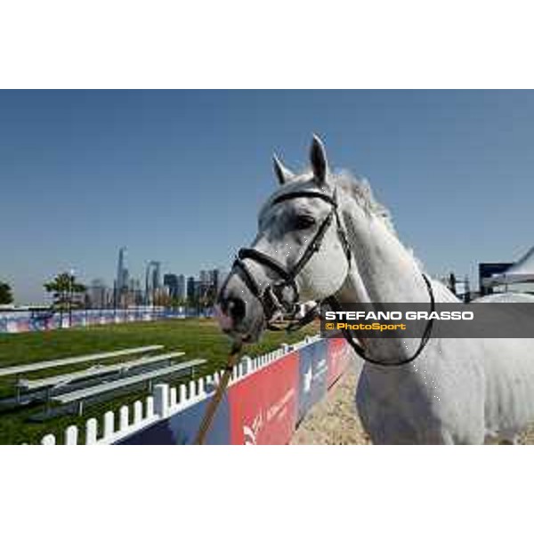 LGCT of NEW YORK - Vet inspection - Cornado NRW NEW YORK, Governors Island - 26 September 2019 - ph.Stefano Grasso/LGCT
