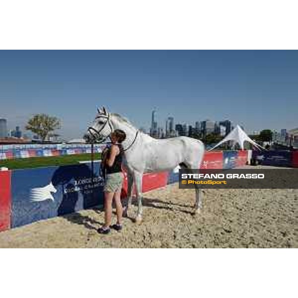 LGCT of NEW YORK - Vet inspection - Cornado NRW NEW YORK, Governors Island - 26 September 2019 - ph.Stefano Grasso/LGCT