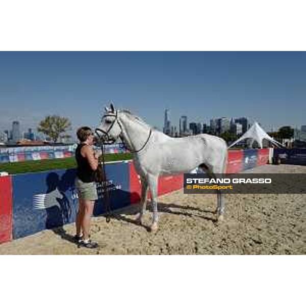 LGCT of NEW YORK - Vet inspection - Cornado NRW NEW YORK, Governors Island - 26 September 2019 - ph.Stefano Grasso/LGCT