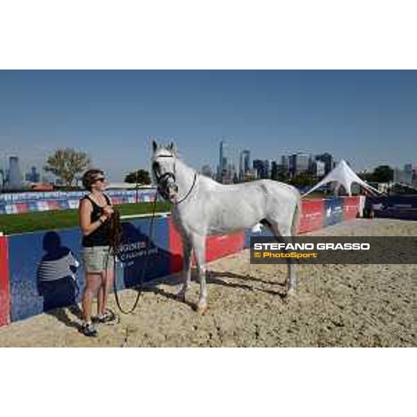 LGCT of NEW YORK - Vet inspection - Cornado NRW NEW YORK, Governors Island - 26 September 2019 - ph.Stefano Grasso/LGCT