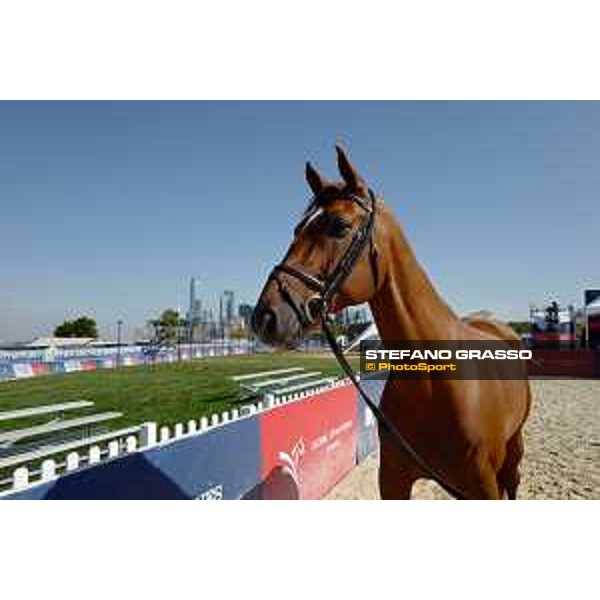 LGCT of NEW YORK - Vet inspection - Explosion W NEW YORK, Governors Island - 26 September 2019 - ph.Stefano Grasso/LGCT