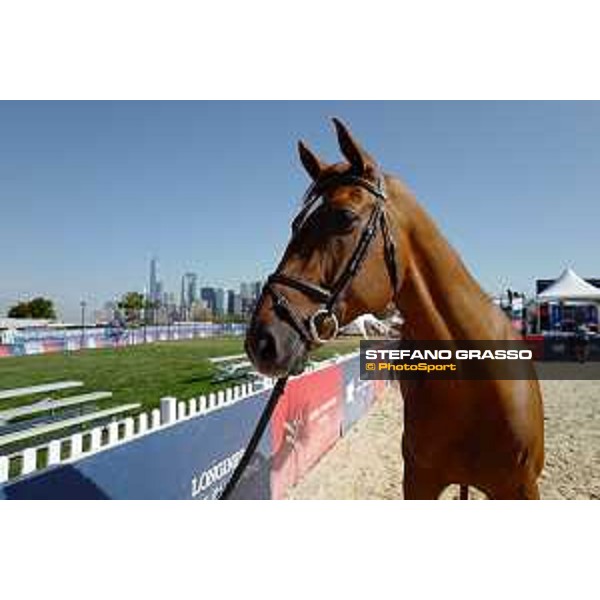 LGCT of NEW YORK - Vet inspection - Explosion W NEW YORK, Governors Island - 26 September 2019 - ph.Stefano Grasso/LGCT