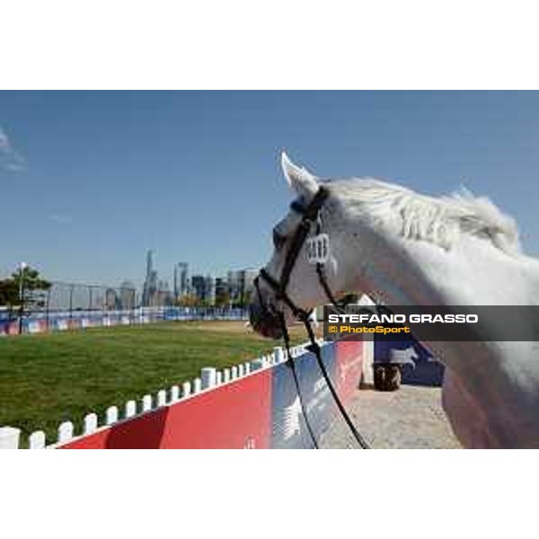 LGCT of NEW YORK - Vet inspection - Cornado NRW NEW YORK, Governors Island - 26 September 2019 - ph.Stefano Grasso/LGCT