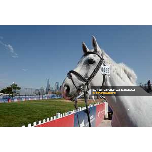 LGCT of NEW YORK - Vet inspection - Cornado NRW NEW YORK, Governors Island - 26 September 2019 - ph.Stefano Grasso/LGCT