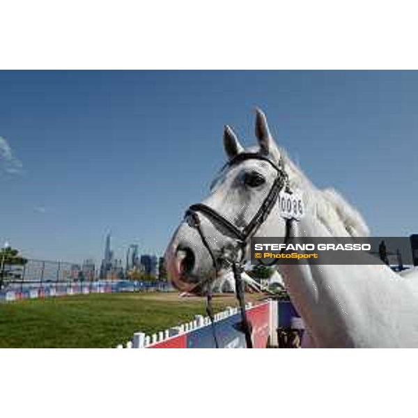 LGCT of NEW YORK - Vet inspection - Cornado NRW NEW YORK, Governors Island - 26 September 2019 - ph.Stefano Grasso/LGCT